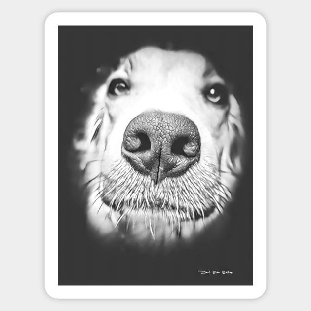 Man’s Best Friend – Black And White Sticker by davidbstudios